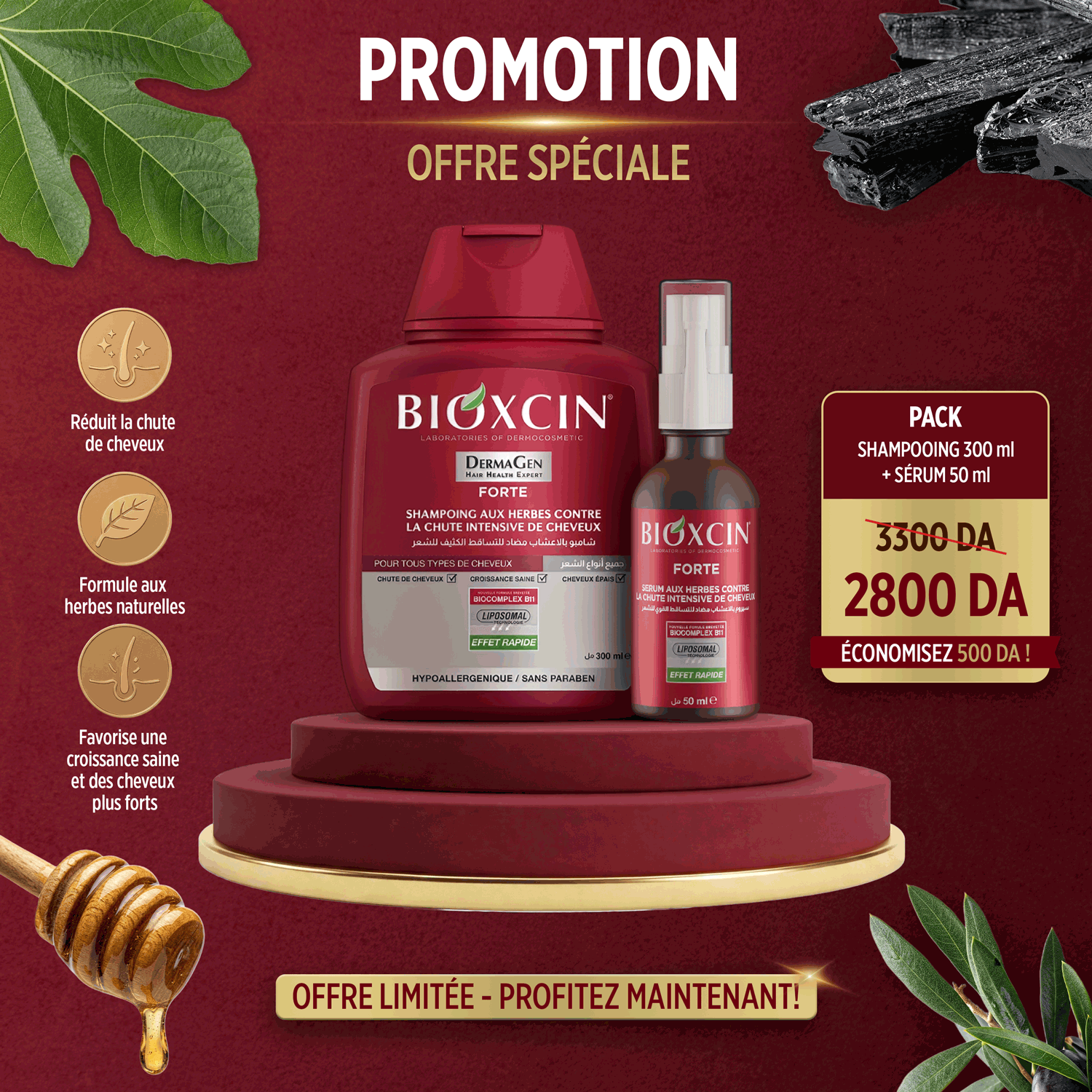 Pack anti chute intense — Bioxcin FORTE